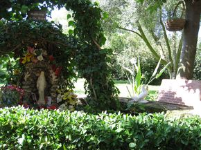 Campo Oasi 2009